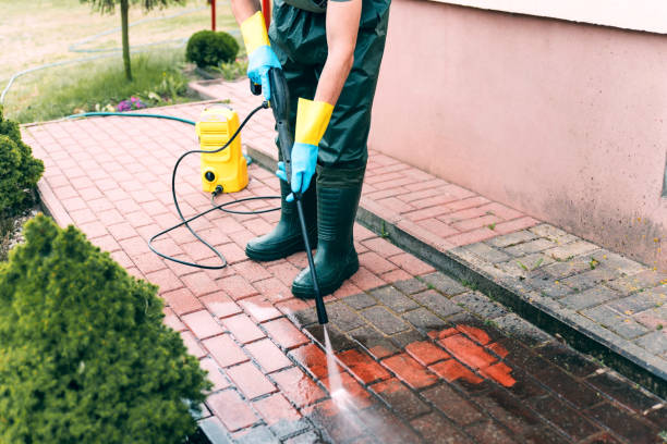 Best Building Exterior Washing  in Natalbany, LA