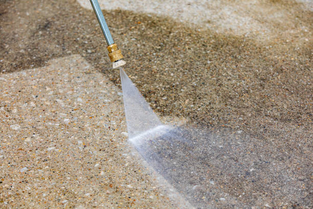 Best Sidewalk and Walkway Cleaning  in Natalbany, LA